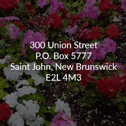 Saint John Contact